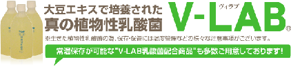 株式会社ダイワランダム様